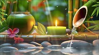 Relaxing Zen Music 24/7, Stress Relief Music, Sleep Music, Meditation Music, Study, Calming Music