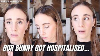 OUR BUNNY WAS HOSPITALISED ... | SOUTH AFRICAN YOUTUBER