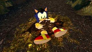 Sonic Finds His Normality