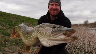 PIKE FISHING - Fishing for big pike on the river