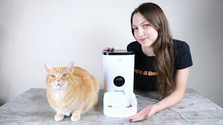 Petlibro Automatic Cat Feeder Review (We Tried It)