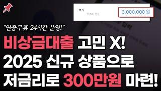 비상금대출 고민 그만! 새롭게 나온 저금리 상품으로 300만원 해결해보세요