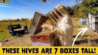 Harvesting Over 1200lbs of Honey w/ a Treatment Free Beekeeper!! Beekeeping 101 #beekeeping