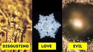 Water Has Memory! Dr. Masaru Emoto's Water Experiment!