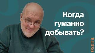 Когда гуманно добывать? Валерий Кузенков о времени добычи копытных.