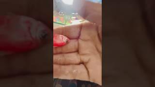 Aaj Hamari ek Fish Marg Gayi