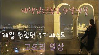 고오리의 여자혼자 유럽(제일 기다렸던 부다페스트hungary budapest)匈牙利。布达佩斯 어부의 요새 Hongrie