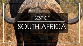 The Best of South Africa - start planning your post COVID African travel adventure (2021)