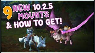 9 New AWESOME Mounts to GET in 10.2.5 Seeds of Renewal! WoW