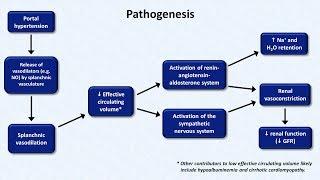 Hepatorenal Syndrome