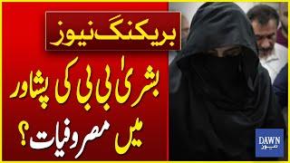 Bushra Bibi's Engagements in Peshawar? | Breaking News | Dawn News