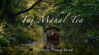 Taj Mahal Tea | D-Cut | Prakash Varma | Nirvana Films