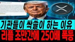 [리플 전망]기관들이 싹쓸이하는 이유 리플 조만간에 250배 폭등