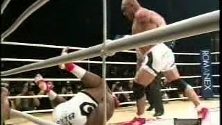 bob sapp vs fujita