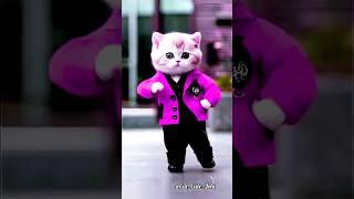 Crazy Cute Cat Dancing  | #cutecat #cats #cat #dancingcat #catvideos #shortfeed #viralshorts #f33