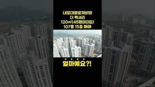 내포대광로제비앙 45B평 매매|내포신도시아파트분양권|내포아파트는 센트럴이 무조건 좋아요!!#내포중흥s클래스 #내포반도유보라 #내포상가