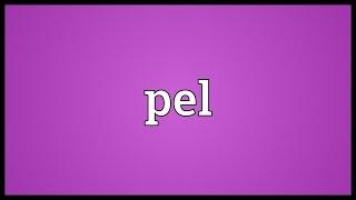 Pel Meaning