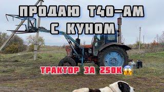 т40ам с куном на ферме