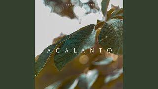 Acalanto