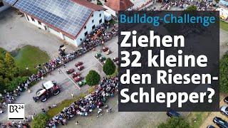 36 Rasenmäher sollen XXL-Bulldog ziehen – klappt der Rekord-Versuch? | Abendschau | BR24