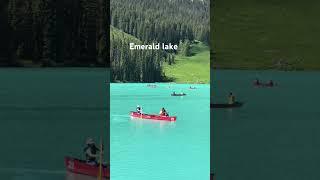 Emerald lake #calgary #canada #lifeincalgary #lifeincanada #ชีวิตในต่างแดน