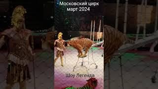 Тигры. Московский цирк на Вернадского. Шоу ЛЕГЕНДА. Вот кому худеть не нужно