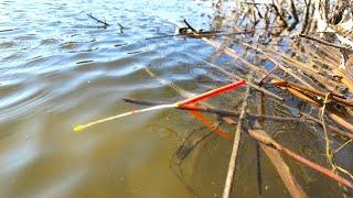 Spring... A large crucian... A FLOAT!!! Fishing and spring fishing on the river