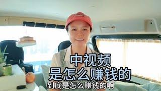 中视频到底是怎么赚钱的，一起看看汪汪妹一个月能有多少收益【汪汪妹流浪记】