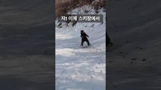이제 스키장에서도 탑턴 연습을 할 수 있답니다. #양양서핑학교 #서핑강습 #낙산해수욕장서핑 #겨울서핑 #서프트레이닝 #STC #서프트레이닝코스 #레벨업서핑캠프
