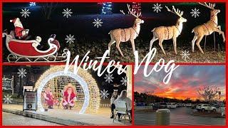 New | Winter Vlog | Cooking, Shopping And Christmas Lights