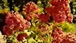 Юдаков. Этюд 12.
