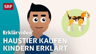 Haustiere: Wichtige Fragen vor dem Kauf – einfach erklärt | Kindervideos | SRF Kids