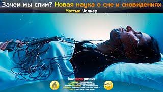 Зачем мы спим? Новая наука о сне и сновидениях. Мэттью Уолкер