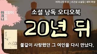 20년 뒤 | 20년 전 불같은 사랑을 했던 여인을 다시 만났다 | 중편소설 낭독 | 무료 오디오북 | 편안한 목소리 아크나 | 잠잘때 듣는 소설책 ASMR