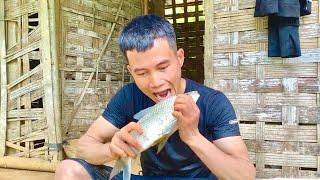 Life in rural Vietnam, building farms, raising fish, raising chickens, gardening, harvesting fruit