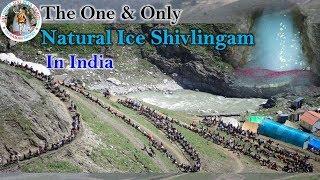 The One and only natural Ice Shivlingam In India