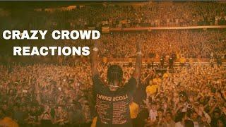 LIT LIVE CONCERT CROWDS Compilation ft  Migos, Travis Scott, Kendrick Lamar, Tyler The Creator