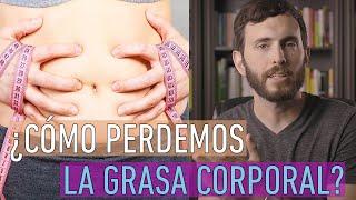 Como se QUEMA LA GRASA CORPORAL?