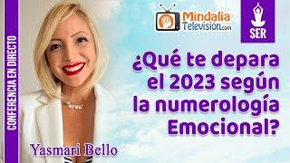 ¿Qué te depara el 2023 según la numerología Emocional?, por Yasmari Bello