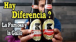 COMPARACIÓN /  CERVEZA GALLO Y CERVEZA FAMOSA DE GUATEMALA