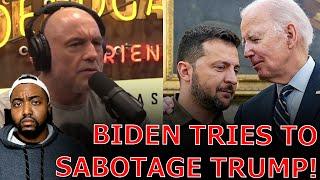 Joe Rogan RAGES Against Biden & Zelensky Trying To Escalate To WWIII Before Trump Gets Into Office!