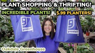 $.99 Planters! Plant Shopping & Goodwill Thrifting - Plant Haul, Thrift Shopping Haul & Plants!