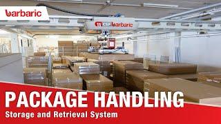 Barbaric CSF Professional // Automatic Storage of Packaged Goods