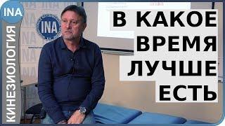 В какое время лучше есть. Обучение прикладной кинезиологии в Германии