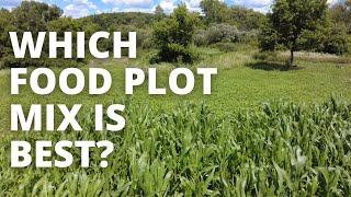 My Top 5 Types of Food Plots