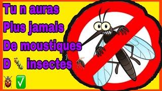 tu n'auras plus jamais d'insectes, mouches, piqures: mes remèdes maison sans insecticides, toxines