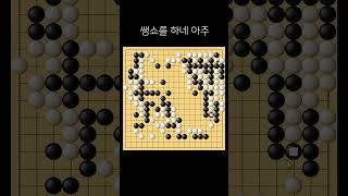 쌩쇼를 하네 아주 #Shorts