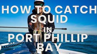 How To Catch Squid In Port Phillip Bay