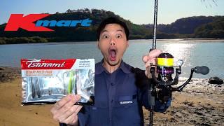 $10 Kmart Fishing Challenge! (Budget lures!)