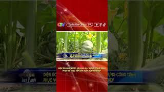 DIỆN TÍCH ĐẤT ĐƯỢC SỬ DỤNG ĐỂ XÂY DỰNG CÔNG TRÌNH PHỤC VỤ TRỰC TIẾP SẢN XUẤT NÔNG NGHIỆP #shorts